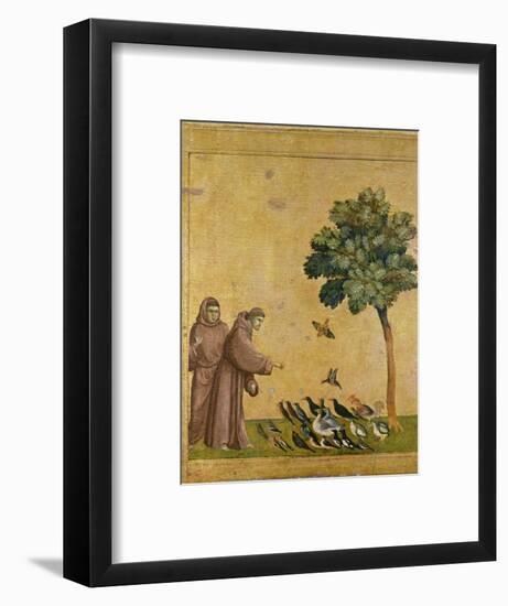 St. Francis of Assisi Preaching to the Birds-Giotto di Bondone-Framed Premium Giclee Print