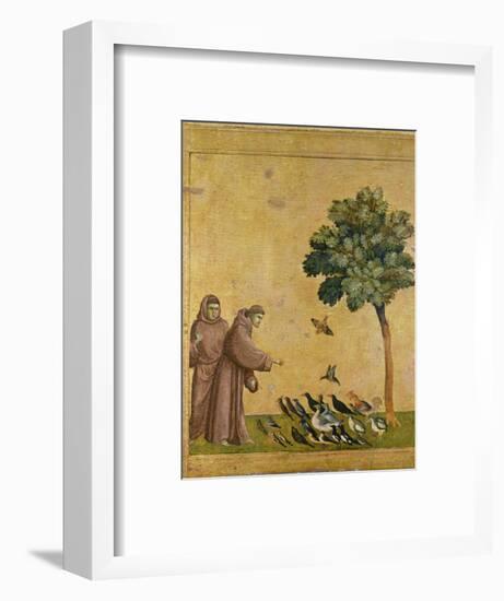 St. Francis of Assisi Preaching to the Birds-Giotto di Bondone-Framed Premium Giclee Print