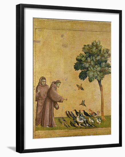 St. Francis of Assisi Preaching to the Birds-Giotto di Bondone-Framed Premium Giclee Print