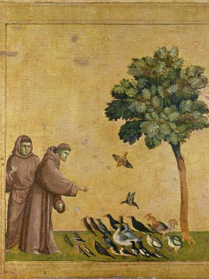 St Francis Of Assisi Preaching To The Birds By Giotto Di Bondone