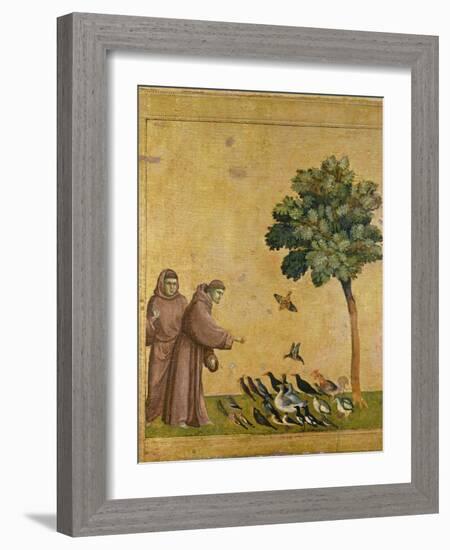 St. Francis of Assisi Preaching to the Birds-Giotto di Bondone-Framed Giclee Print