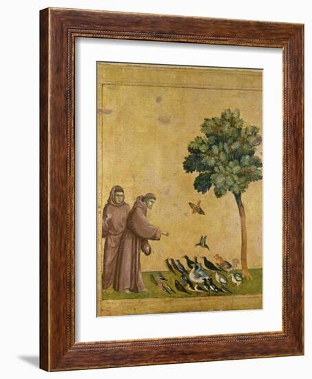 St. Francis of Assisi Preaching to the Birds-Giotto di Bondone-Framed Giclee Print