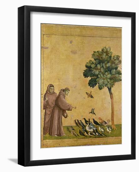 St. Francis of Assisi Preaching to the Birds-Giotto di Bondone-Framed Giclee Print