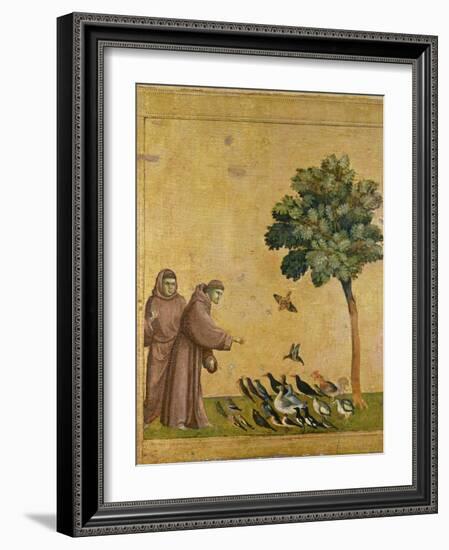 St. Francis of Assisi Preaching to the Birds-Giotto di Bondone-Framed Giclee Print