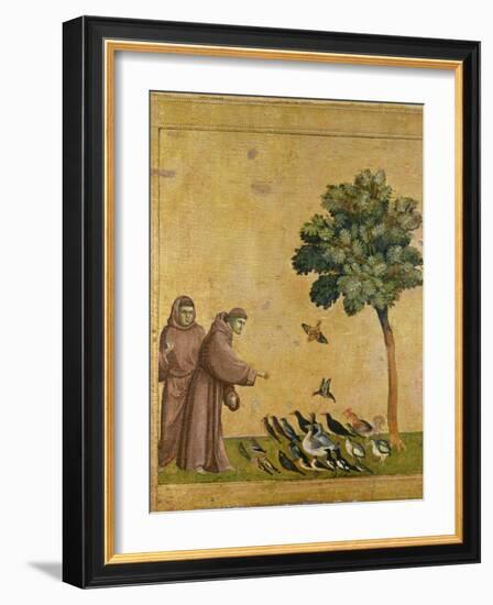 St. Francis of Assisi Preaching to the Birds-Giotto di Bondone-Framed Giclee Print