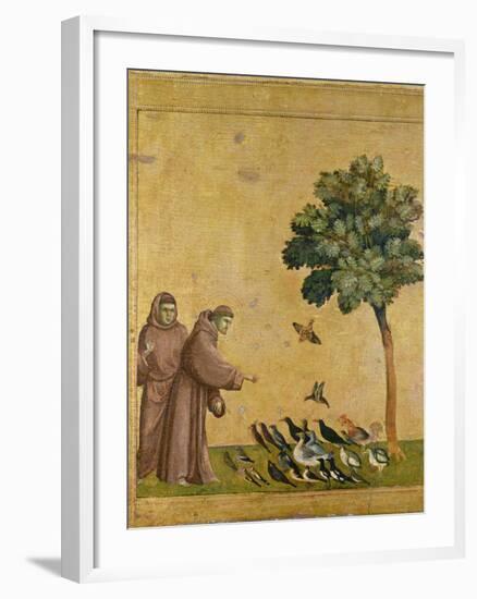 St. Francis of Assisi Preaching to the Birds-Giotto di Bondone-Framed Giclee Print