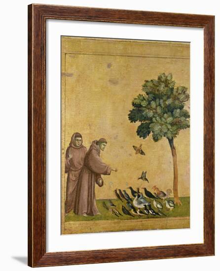 St. Francis of Assisi Preaching to the Birds-Giotto di Bondone-Framed Giclee Print