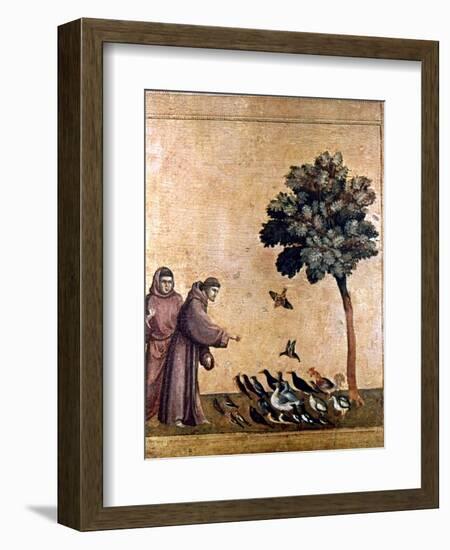 St. Francis Of Assisi-null-Framed Giclee Print