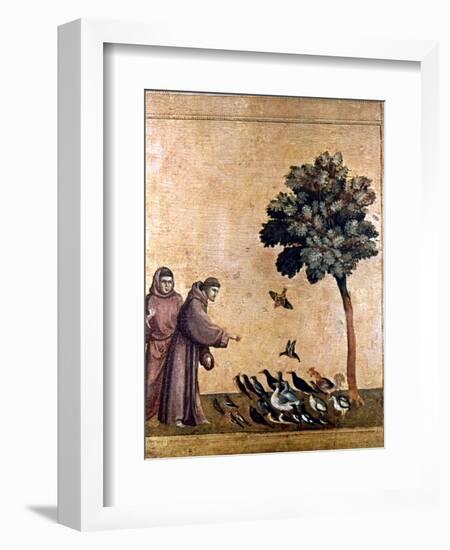 St. Francis Of Assisi-null-Framed Giclee Print