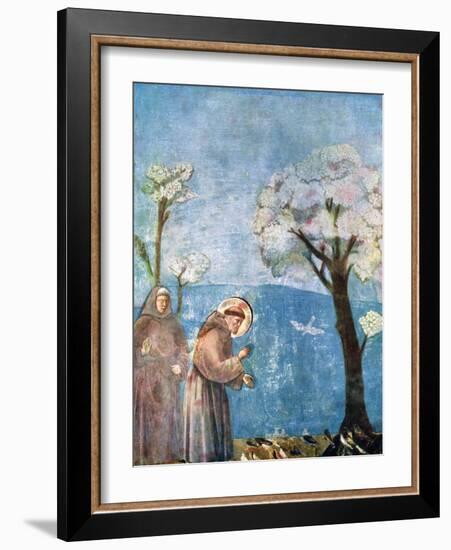 St Francis Preaching to the Birds, 1297-1299, (C1900-192)-Giotto-Framed Premium Giclee Print