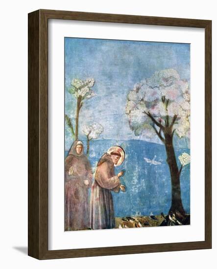 St Francis Preaching to the Birds, 1297-1299, (C1900-192)-Giotto-Framed Giclee Print