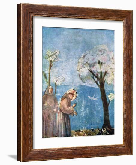 St Francis Preaching to the Birds, 1297-1299, (C1900-192)-Giotto-Framed Giclee Print