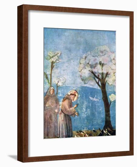 St Francis Preaching to the Birds, 1297-1299, (C1900-192)-Giotto-Framed Giclee Print