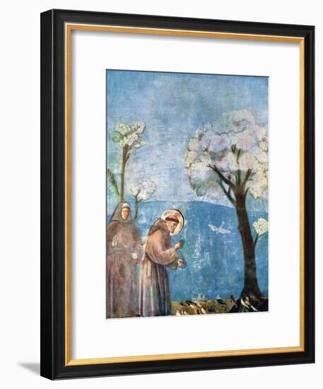 St Francis Preaching to the Birds, 1297-1299, (C1900-192)-Giotto-Framed Giclee Print