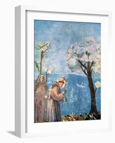 St Francis Preaching to the Birds, 1297-1299, (C1900-192)-Giotto-Framed Giclee Print