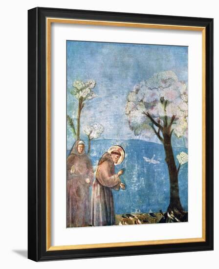 St Francis Preaching to the Birds, 1297-1299, (C1900-192)-Giotto-Framed Giclee Print