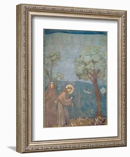 St. Francis Preaching to the Birds, 1297-99-Giotto di Bondone-Framed Giclee Print