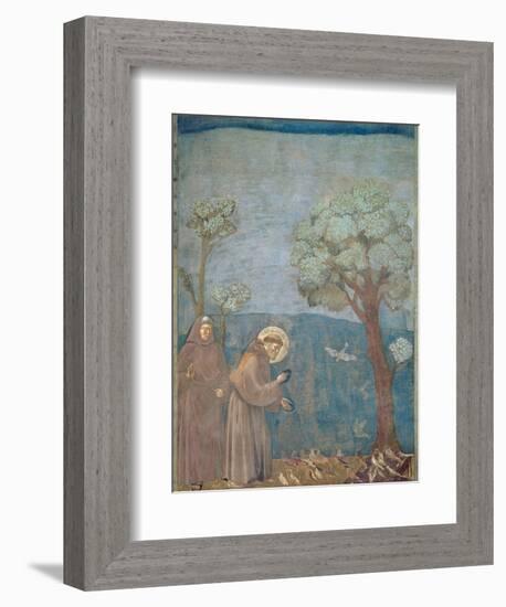 St. Francis Preaching to the Birds, 1297-99-Giotto di Bondone-Framed Giclee Print