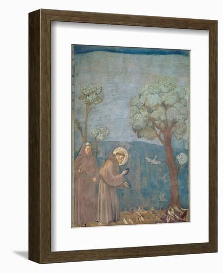 St. Francis Preaching to the Birds, 1297-99-Giotto di Bondone-Framed Giclee Print