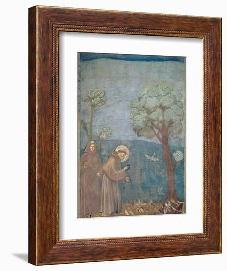 St. Francis Preaching to the Birds, 1297-99-Giotto di Bondone-Framed Giclee Print