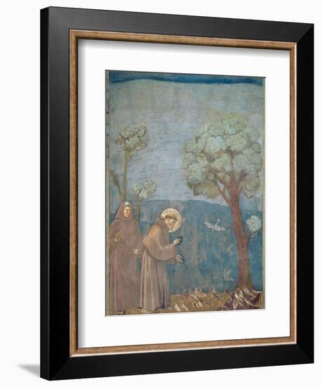 St. Francis Preaching to the Birds, 1297-99-Giotto di Bondone-Framed Giclee Print