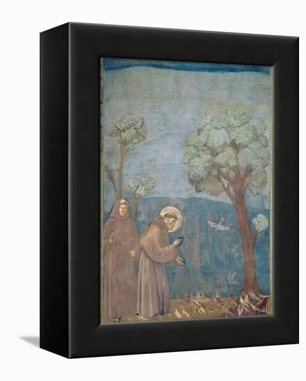 St. Francis Preaching to the Birds, 1297-99-Giotto di Bondone-Framed Premier Image Canvas