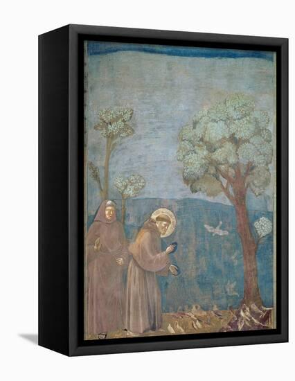 St. Francis Preaching to the Birds, 1297-99-Giotto di Bondone-Framed Premier Image Canvas