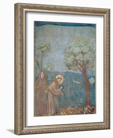 St. Francis Preaching to the Birds, 1297-99-Giotto di Bondone-Framed Giclee Print