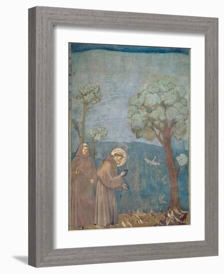 St. Francis Preaching to the Birds, 1297-99-Giotto di Bondone-Framed Giclee Print