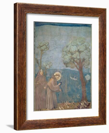 St. Francis Preaching to the Birds, 1297-99-Giotto di Bondone-Framed Giclee Print