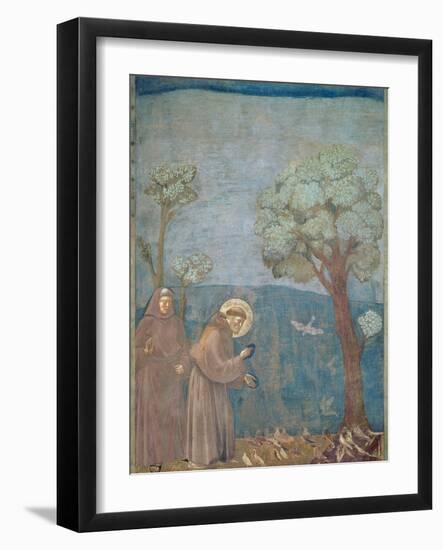 St. Francis Preaching to the Birds, 1297-99-Giotto di Bondone-Framed Giclee Print