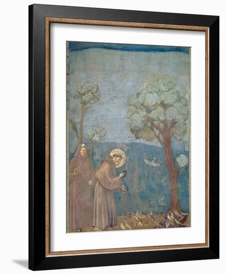 St. Francis Preaching to the Birds, 1297-99-Giotto di Bondone-Framed Giclee Print