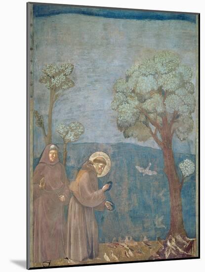 St. Francis Preaching to the Birds, 1297-99-Giotto di Bondone-Mounted Giclee Print