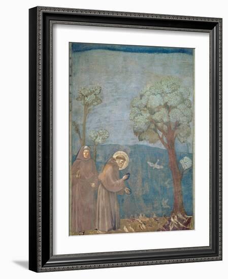 St. Francis Preaching to the Birds, 1297-99-Giotto di Bondone-Framed Giclee Print