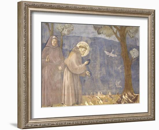 St. Francis Preaching to the Birds-Giotto-Framed Art Print