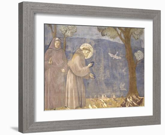 St. Francis Preaching to the Birds-Giotto-Framed Art Print