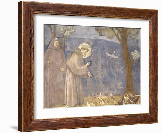 St. Francis Preaching to the Birds-Giotto-Framed Art Print