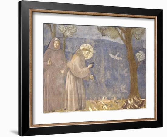 St. Francis Preaching to the Birds-Giotto-Framed Art Print