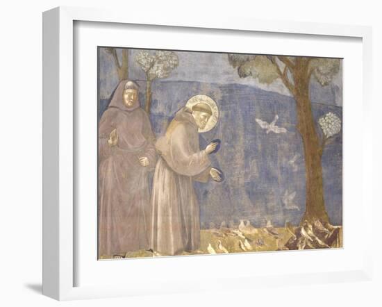 St. Francis Preaching to the Birds-Giotto-Framed Art Print