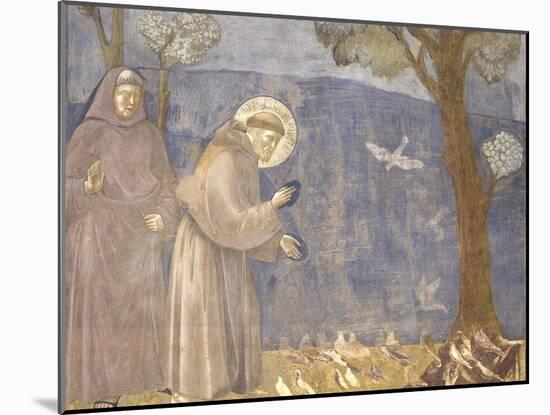 St. Francis Preaching to the Birds-Giotto-Mounted Art Print