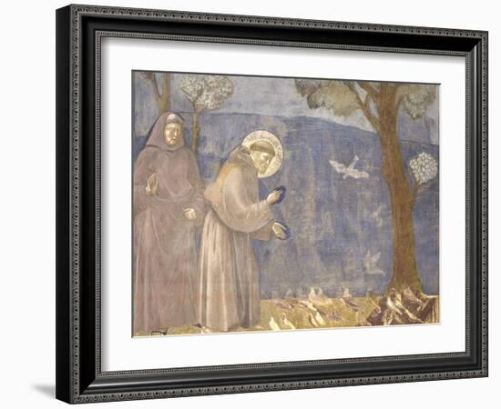 St. Francis Preaching to the Birds-Giotto-Framed Art Print