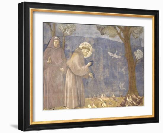 St. Francis Preaching to the Birds-Giotto-Framed Art Print