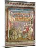 St. Francis Receives Approval of His "Regula Prima" from Pope Innocent III in 1210, 1297-99-Giotto di Bondone-Mounted Giclee Print