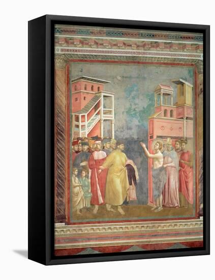 St. Francis Renounces His Father's Goods and Earthly Wealth, 1297-99-Giotto di Bondone-Framed Premier Image Canvas