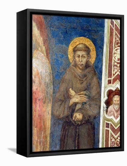 St. Francis-Cimabue-Framed Premier Image Canvas