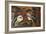 St George and Dragon-null-Framed Photographic Print