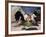 St. George and the Dragon, Five Minutes Later-George Adamson-Framed Giclee Print