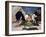 St. George and the Dragon, Five Minutes Later-George Adamson-Framed Giclee Print