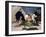 St. George and the Dragon, Five Minutes Later-George Adamson-Framed Giclee Print