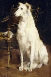 A Borzoi by a Chair-St. George Hare-Giclee Print